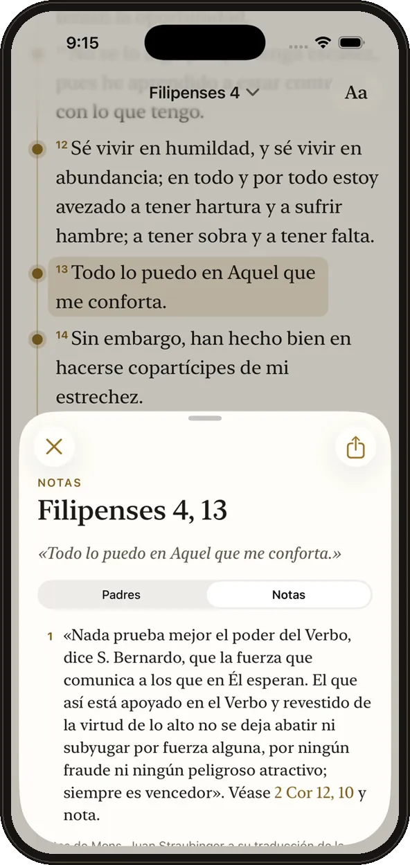 Notas